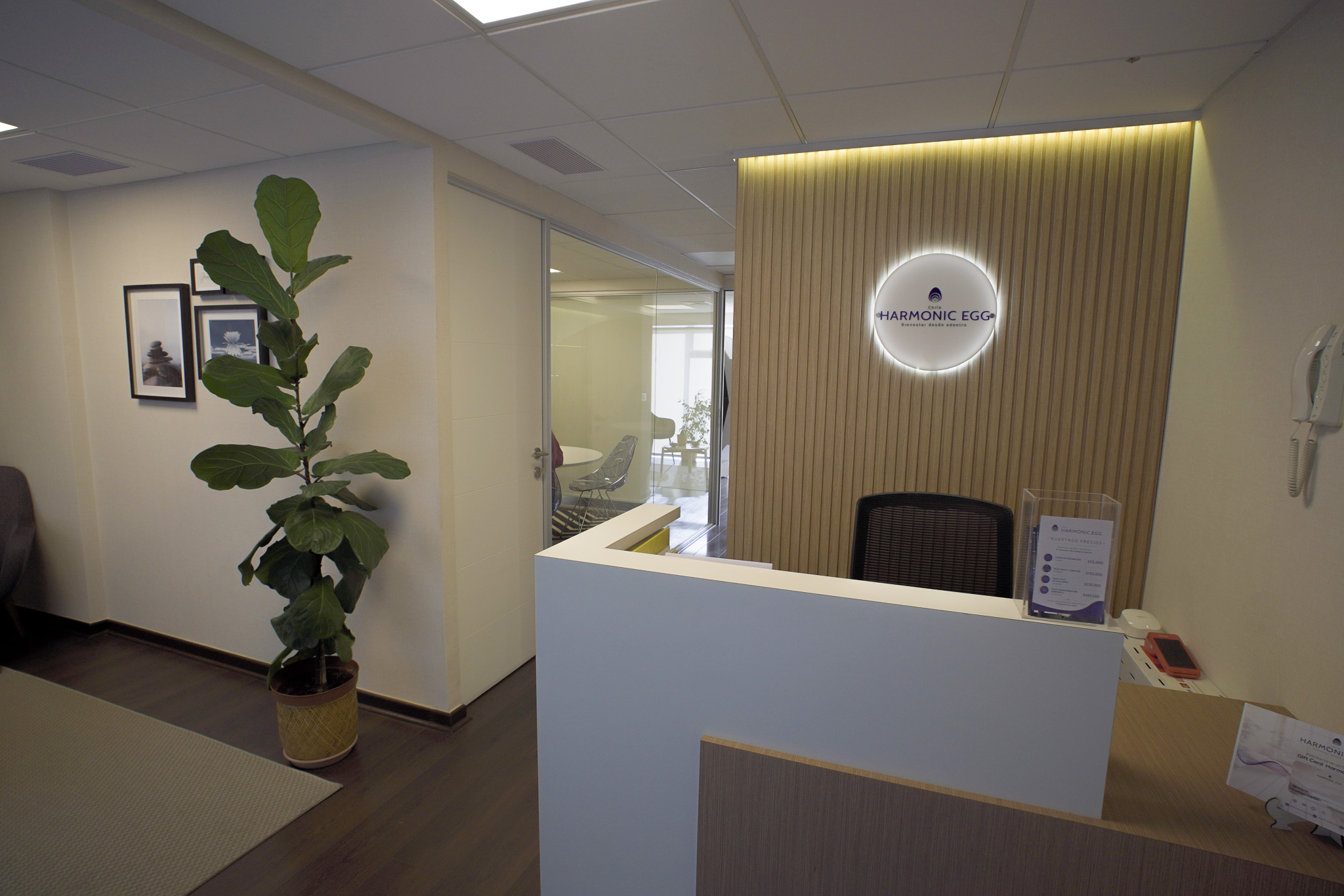 Recepción de Harmonic Egg® Chile en Las Condes