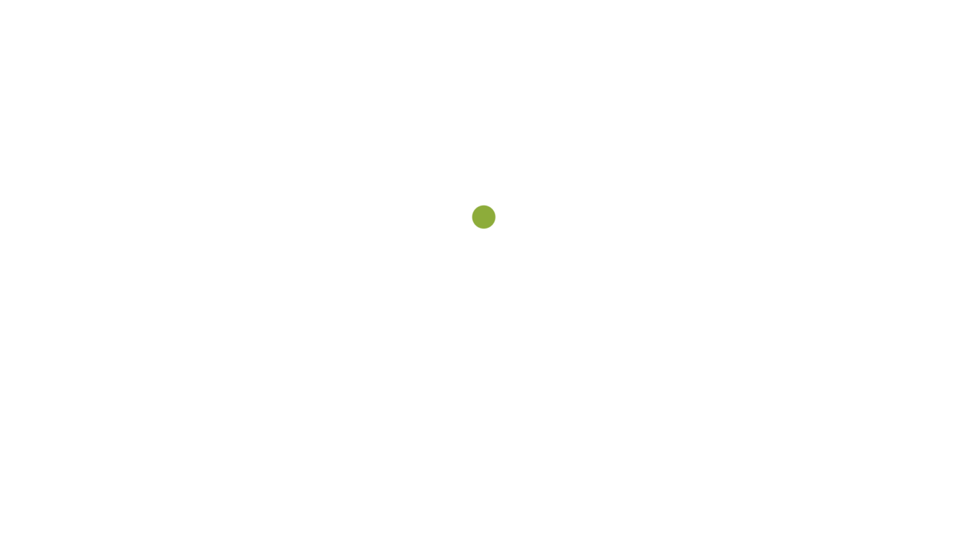 Harmonic Egg Chile