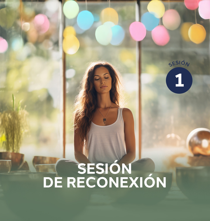 SESIÓN DE RECONEXIÓN